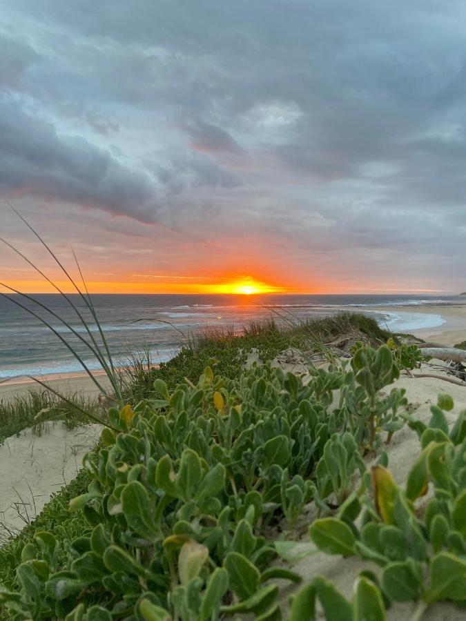 Soutelande Country Stay - Close To 1#Beach In Pe Port Elizabeth Dış mekan fotoğraf