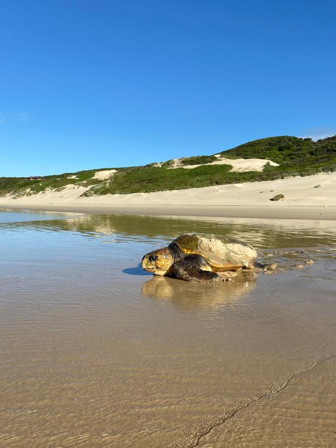 Soutelande Country Stay - Close To 1#Beach In Pe Port Elizabeth Dış mekan fotoğraf