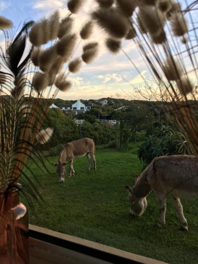Soutelande Country Stay - Close To 1#Beach In Pe Port Elizabeth Dış mekan fotoğraf