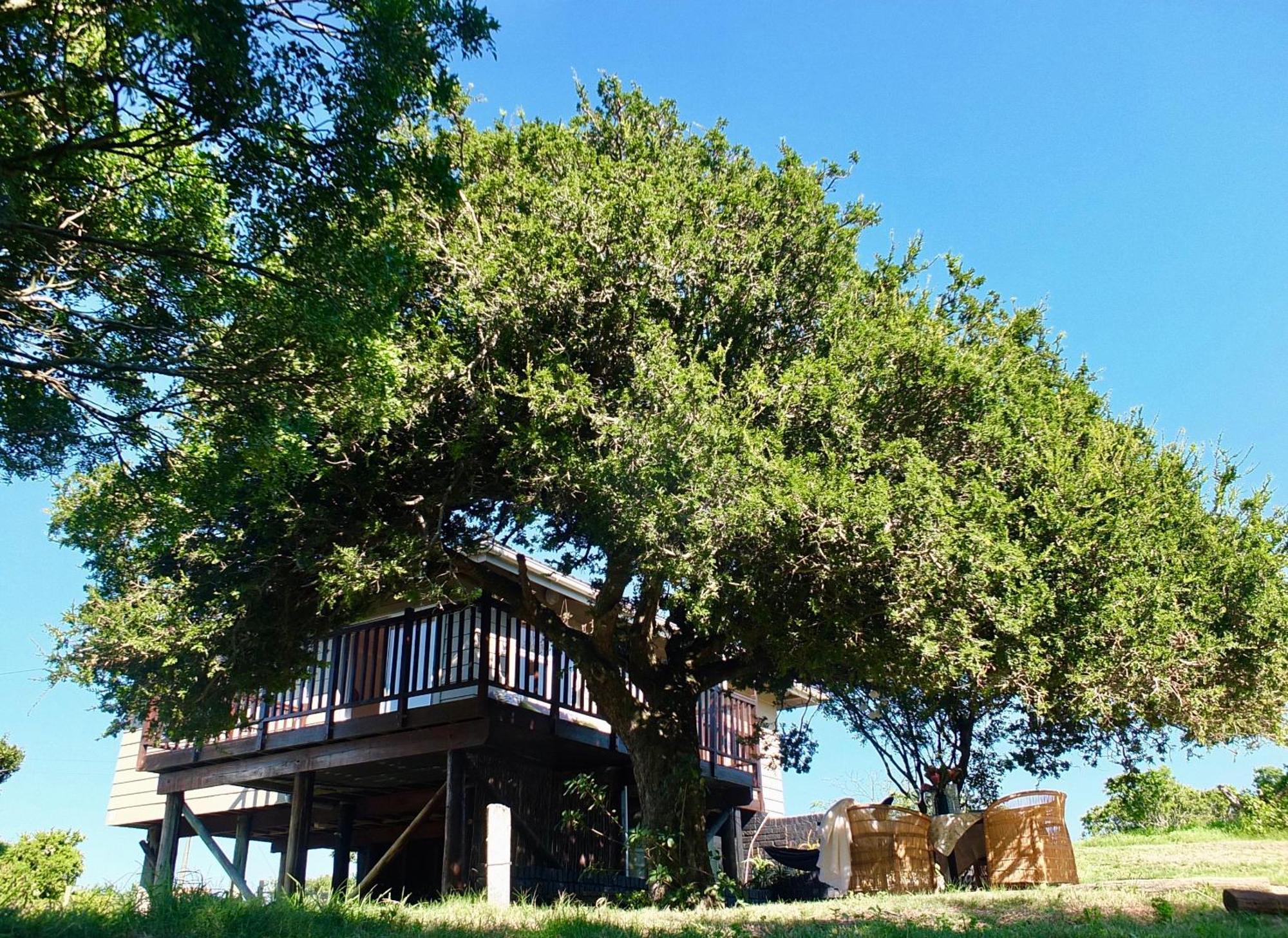 Soutelande Country Stay - Close To 1#Beach In Pe Port Elizabeth Dış mekan fotoğraf