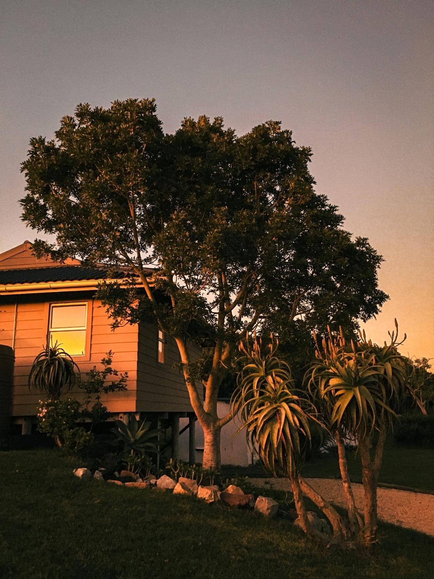 Soutelande Country Stay - Close To 1#Beach In Pe Port Elizabeth Dış mekan fotoğraf