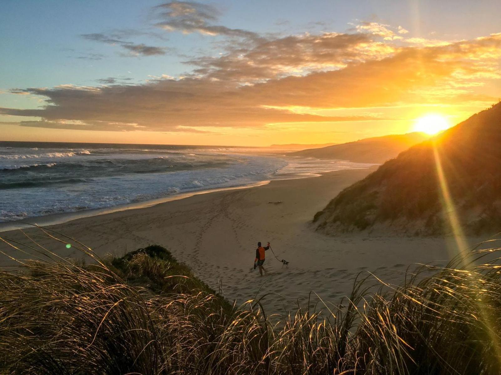 Soutelande Country Stay - Close To 1#Beach In Pe Port Elizabeth Dış mekan fotoğraf